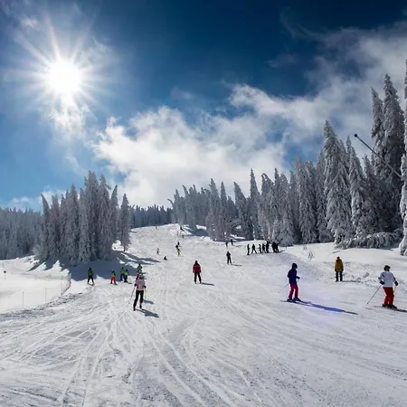 Topview Kopaonik-dvori