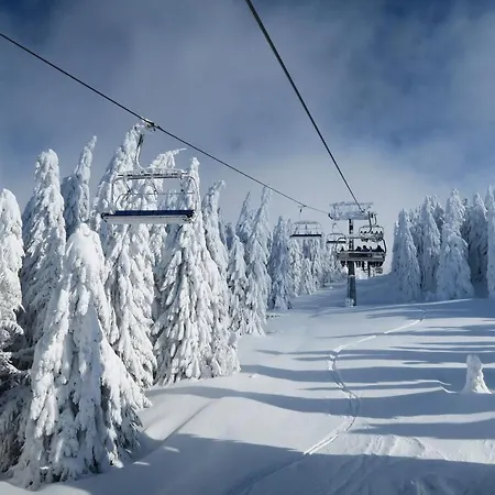 Topview Kopaonik-dvori アパート