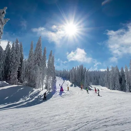 Topview Kopaonik-dvori *
