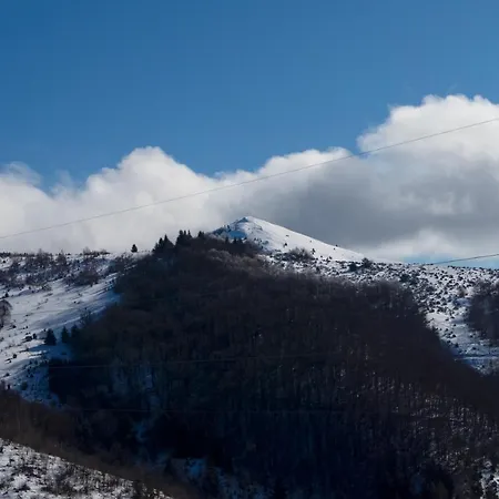 Topview Kopaonik-dvori * コパオニク