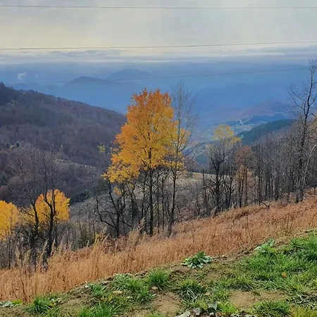 Lägenhet Topview Kopaonik-dvori