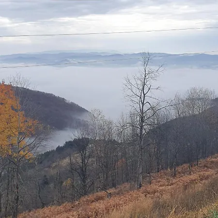 Topview Kopaonik-dvori * コパオニク