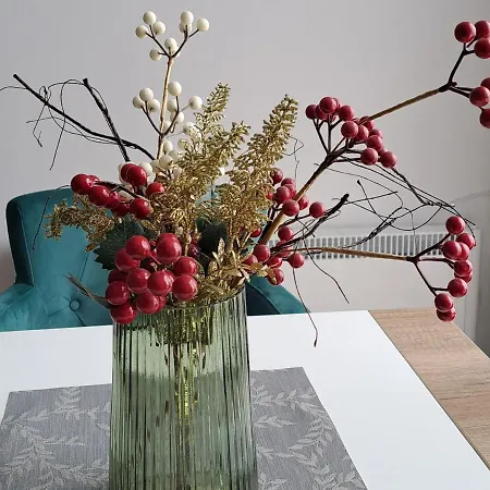 Topview Kopaonik-dvori *