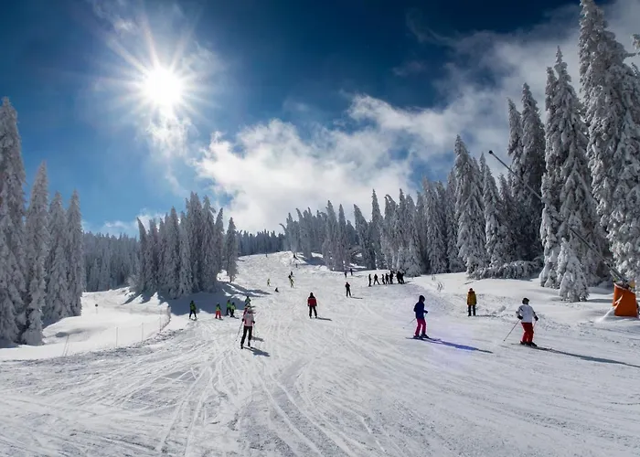 Topview Kopaonik-dvori