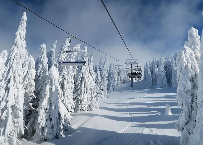 Topview Kopaonik-dvori Apartman