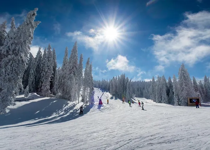 Topview Kopaonik-dvori *
