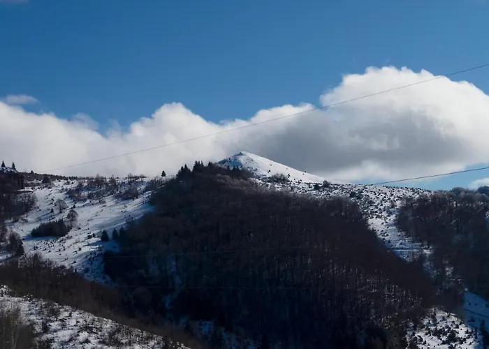 Topview Kopaonik-dvori * Kopaonik
