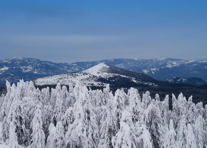 Apartman Topview Kopaonik-dvori *