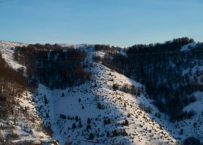 Topview Kopaonik-dvori