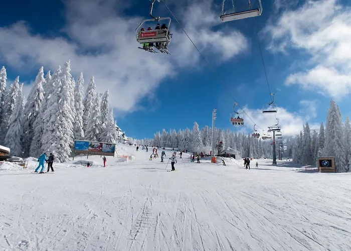 Apartman Topview Kopaonik-dvori *