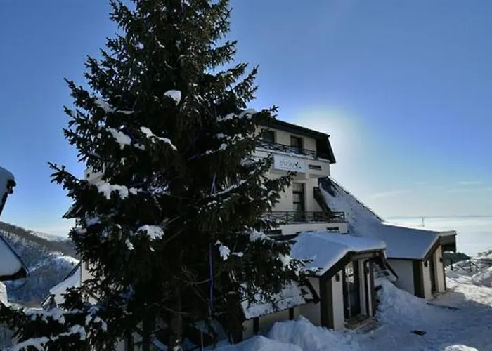 Apartman Topview Kopaonik-dvori Kopaonik