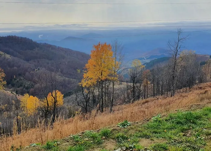 Apartman Topview Kopaonik-dvori