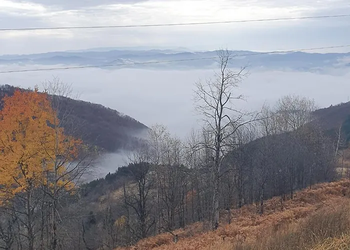 Topview Kopaonik-dvori * Kopaonik