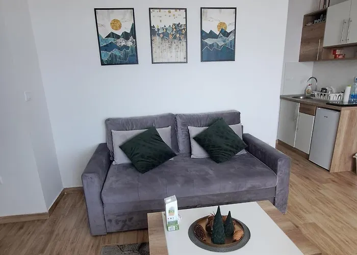 Topview Kopaonik-dvori Apartman *