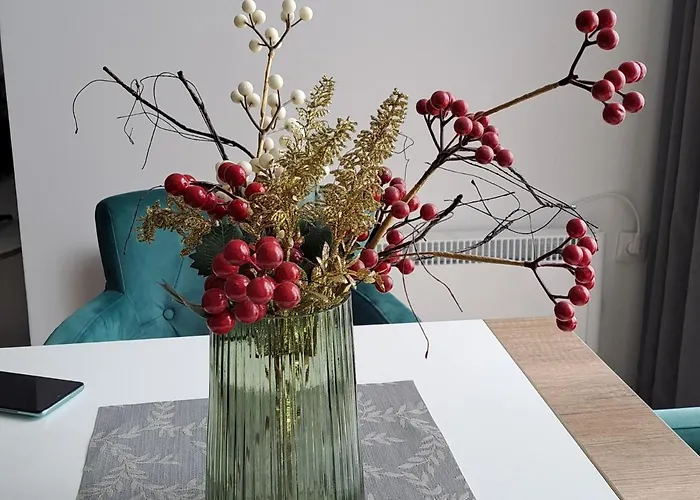 Topview Kopaonik-dvori *